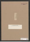Navicula sp. (de-Toni-Nr.: Genus 1) Zeichnungen Sammlung Grunow Nr. 1569 (NHMW-BOT-W0368096)